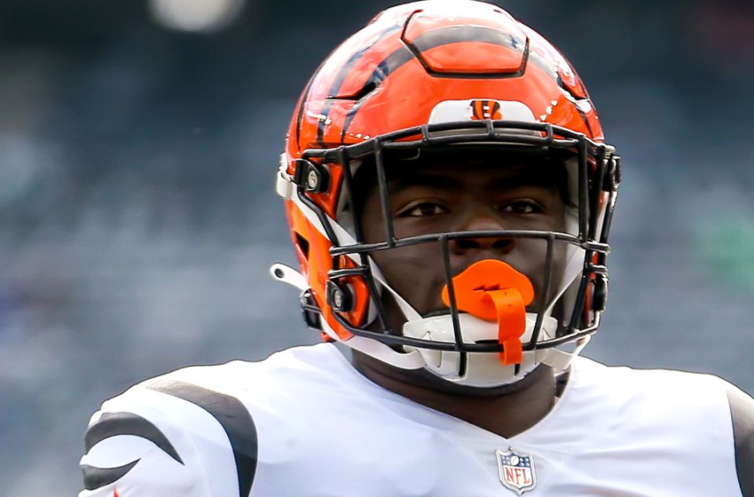  Bengals vs. Browns inactives in NFL Week 9: Cam Sample, Auden Tate will not play – Cincy Jungle