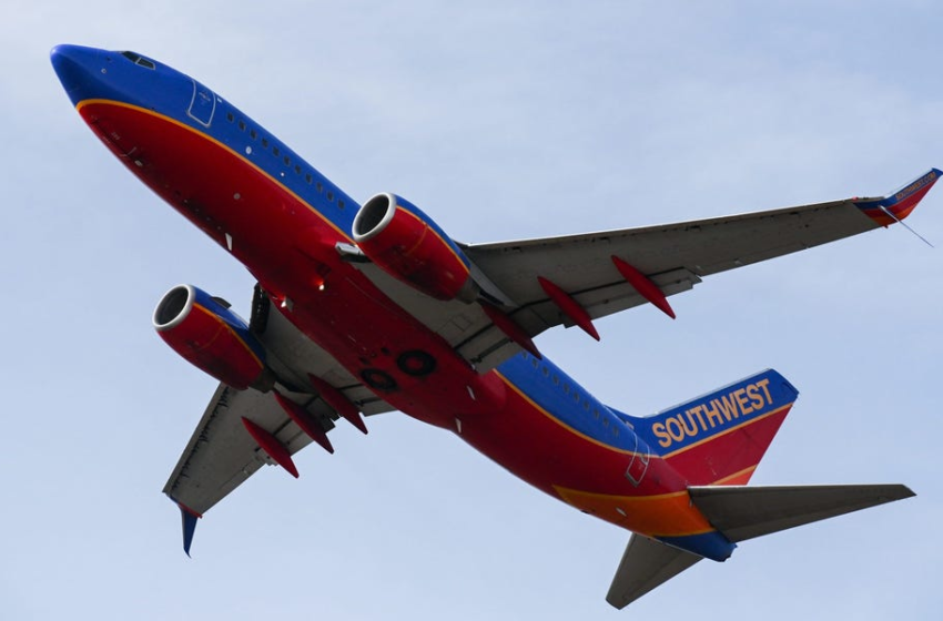  Southwest employee hospitalized after assault by passenger: report – Business Insider