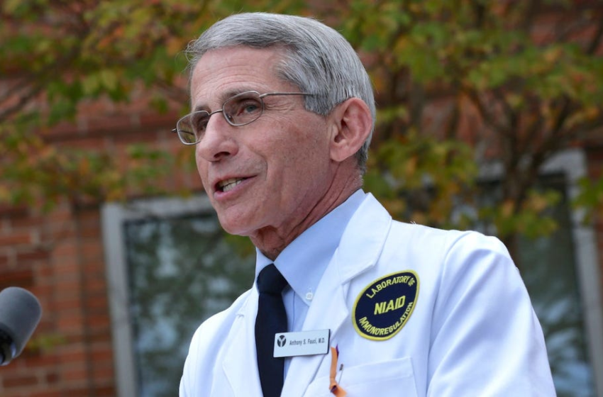  Fauci says every adult should get a booster shot when eligible – Business Insider