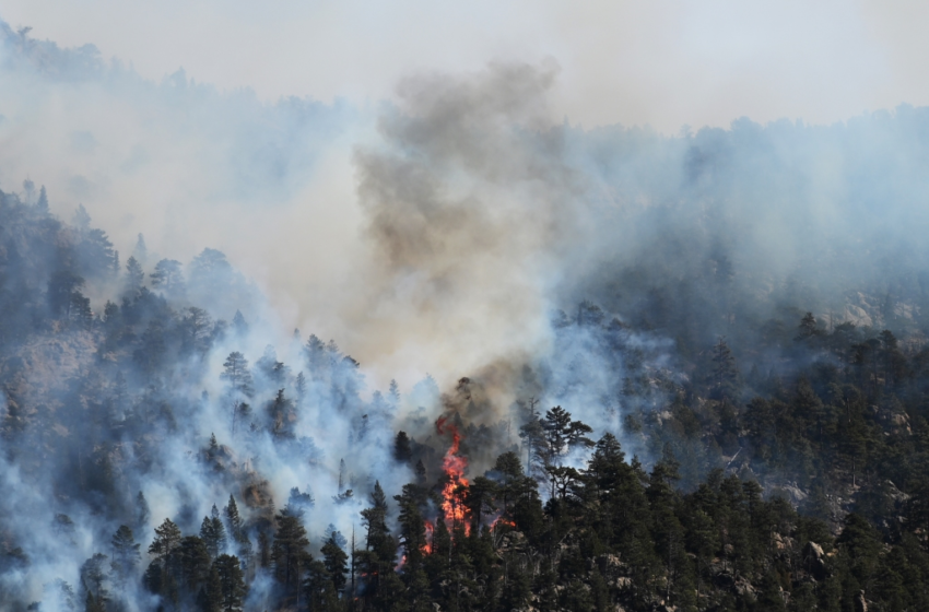  Pilot killed in single-engine air tanker crash near Kruger Rock fire outside Estes Park – The Denver Post