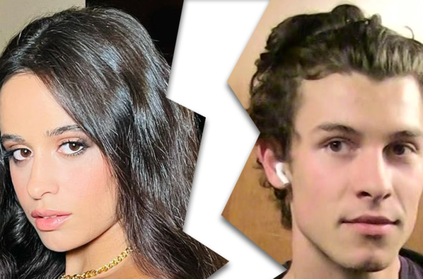  Camila Cabello and Shawn Mendes Announce Split – TMZ