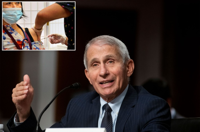  Fauci says COVID-19 booster might become new standard for being vaccinated – New York Post