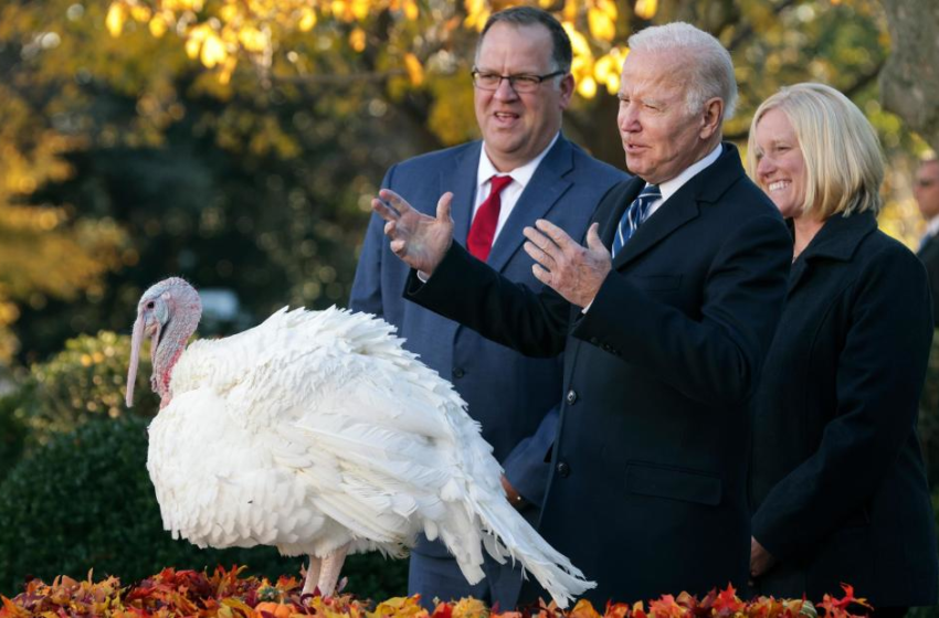  Biden pardons Peanut Butter and Jelly in his first presidential turkey pardon – CNN