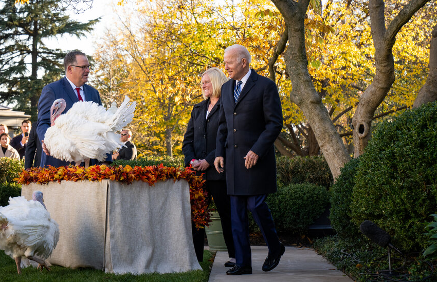  Boosted, Not Basted: Biden Pardons 2 Turkeys in Thanksgiving Tradition – The New York Times