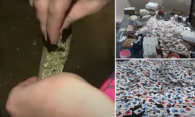  Connecticut officials warn of fentanyl-laced marijuana after 39 overdoses since July – Daily Mail