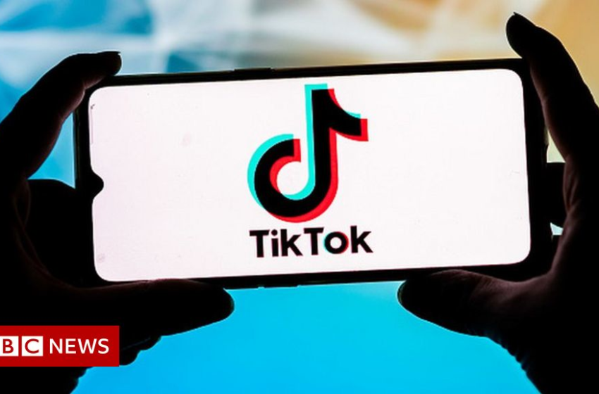  TikTok: Missing girl found after using viral call for help sign – BBC News