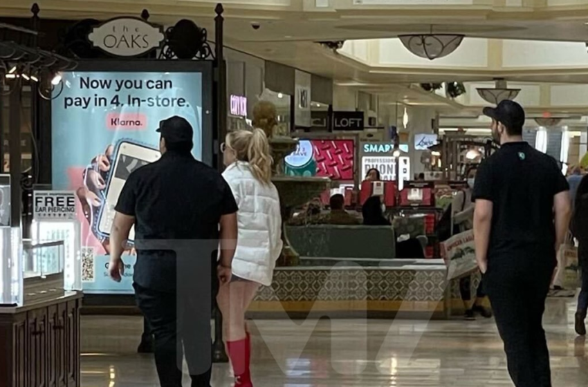  Britney Spears Hits Up Shopping Mall – TMZ