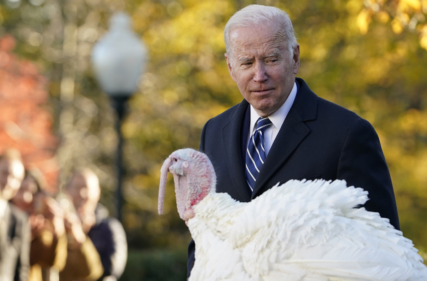  Biden thanks immigrants and frontline workers, remembers troops in Thanksgiving day proclamation – Fox News