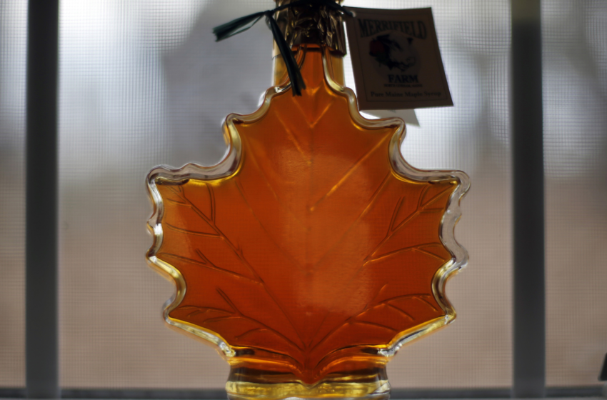  Canada taps into strategic reserves to deal with massive shortage … of maple syrup – NPR