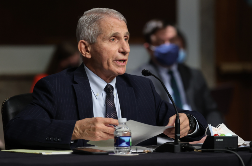  Anthony Fauci Says COVID-19 Omicron Variant Could Already Be in U.S. – Newsweek