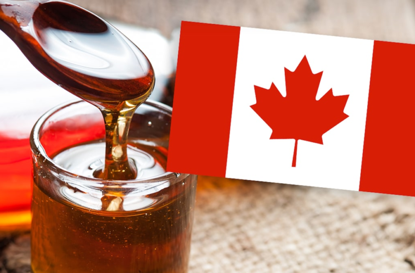  Canada to Tap Maple Syrup Reserves to Combat Supply Crisis – TMZ