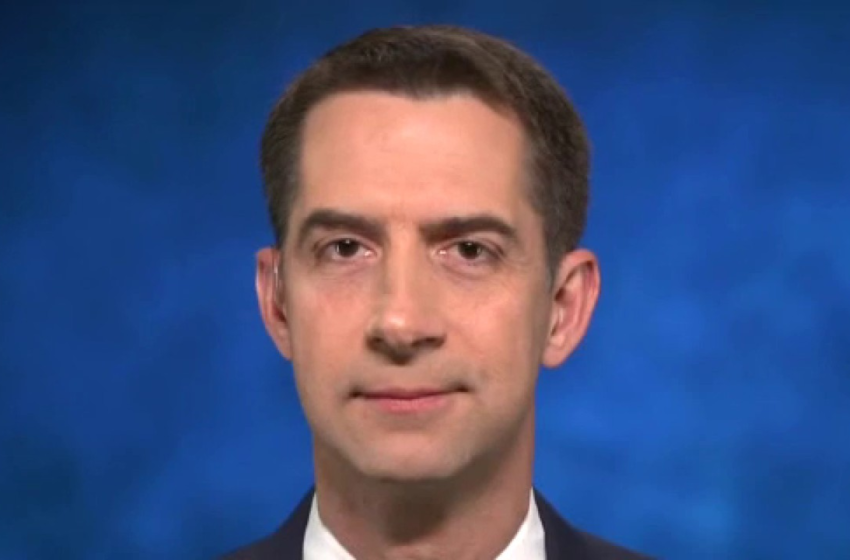  Tom Cotton: Fauci became an open partisan with Cruz criticism – Fox News