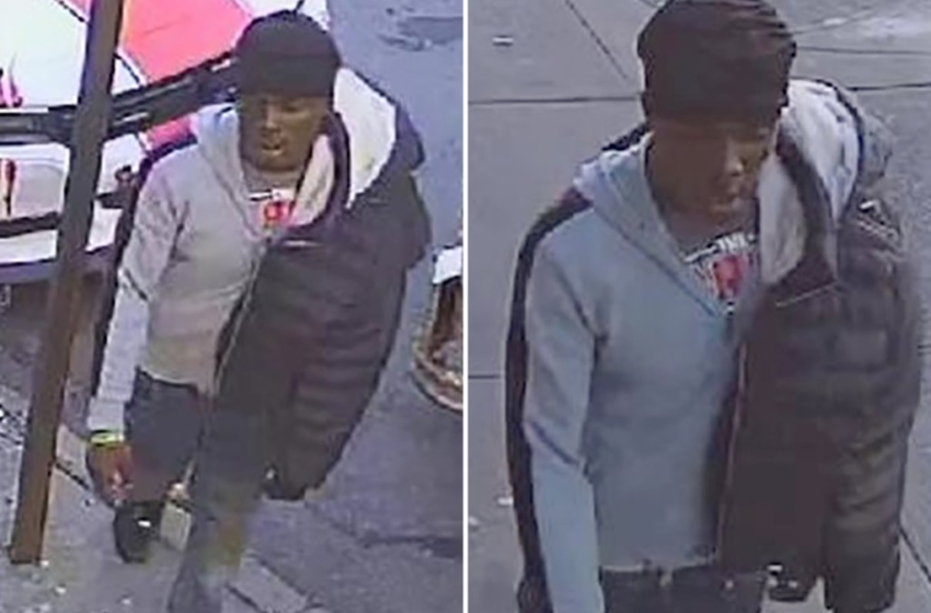  Man sexually assaults 13-year-old in Bronx park: cops – New York Post