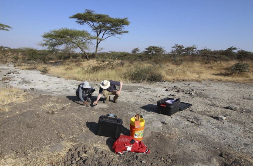  Fossil footprints puzzle scientists: Bear or ancient human? – Associated Press