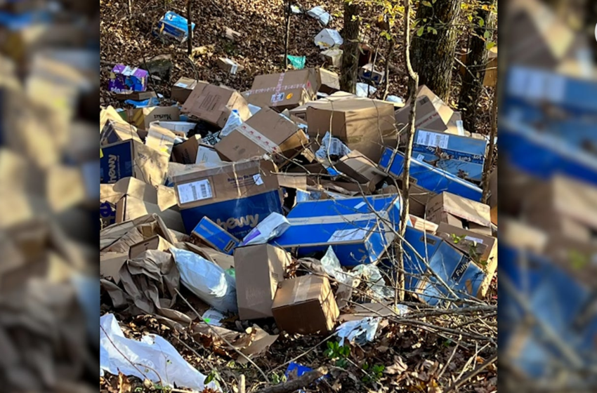  Alabama man admitted to dumping hundreds of FedEx packages in ravine, officials say – USA TODAY