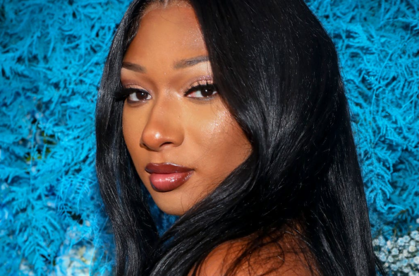  Megan Thee Stallion is now Megan Thee Graduate: I know my parents are looking down on me – USA TODAY