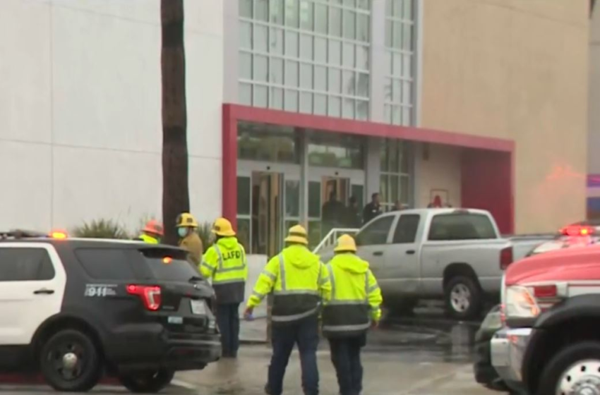  Teen Girl, Assault Suspect Killed By LAPD In Shooting At Burlington Store In North Hollywood – CBS Los Angeles