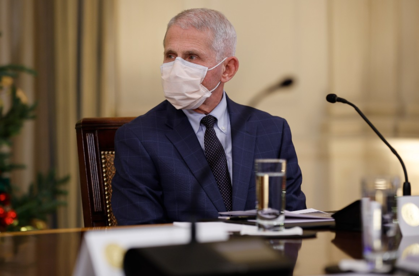  Fauci: I don’t think people should expect a domestic flight vaccine mandate – POLITICO