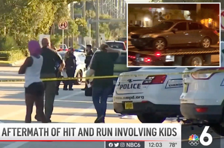  Cops recover car in deadly Florida hit-and-run and ID child victims – New York Post