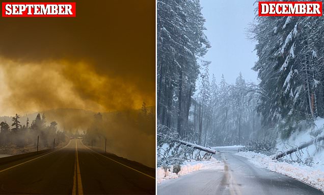  Sierra Nevada records nearly 17-feet of snow this month – Daily Mail