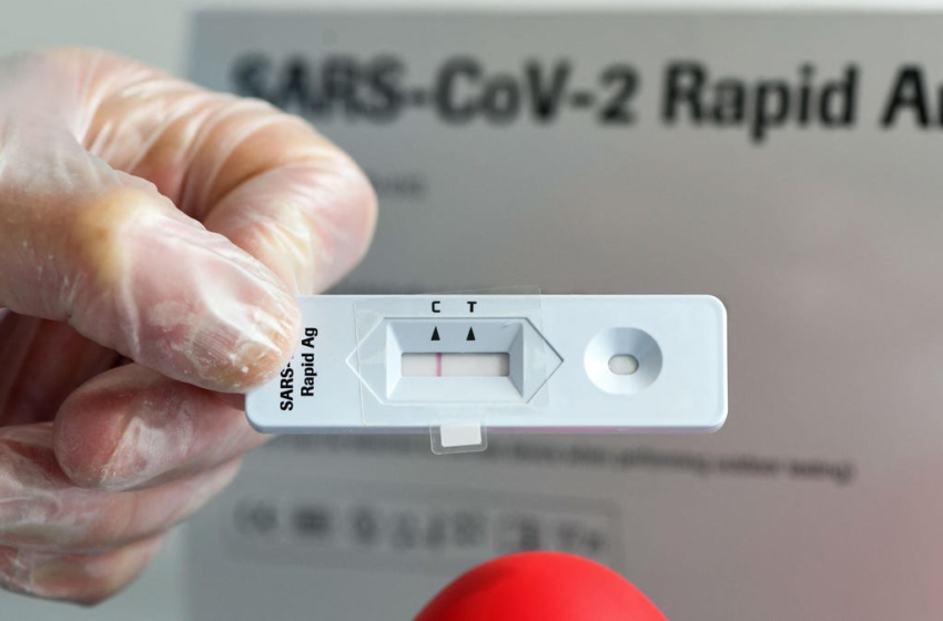  Rapid Tests May Be Less Accurate for Omicron, FDA Warns – Gizmodo