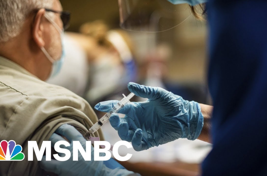  CDC Chief On Omicron, Delta Killing Unvaccinated And Why Mask Rules Changed – MSNBC