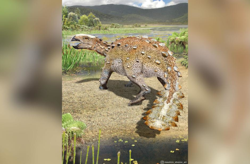  New armored dinosaur found in Chile had bizarre weaponized tail – CNN