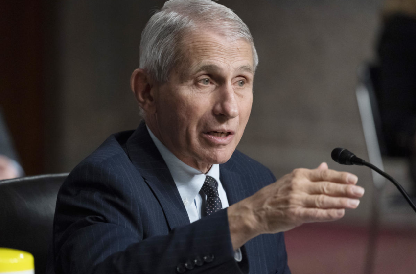  Fauci says COVID diverted resources from fighting AIDS – AOL