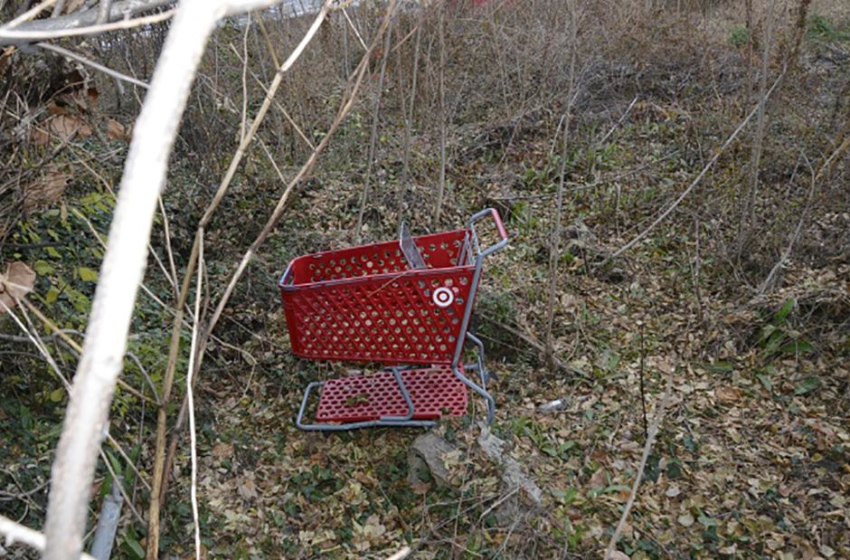  Body of fifth victim may be linked to alleged shopping cart serial killer – CNN