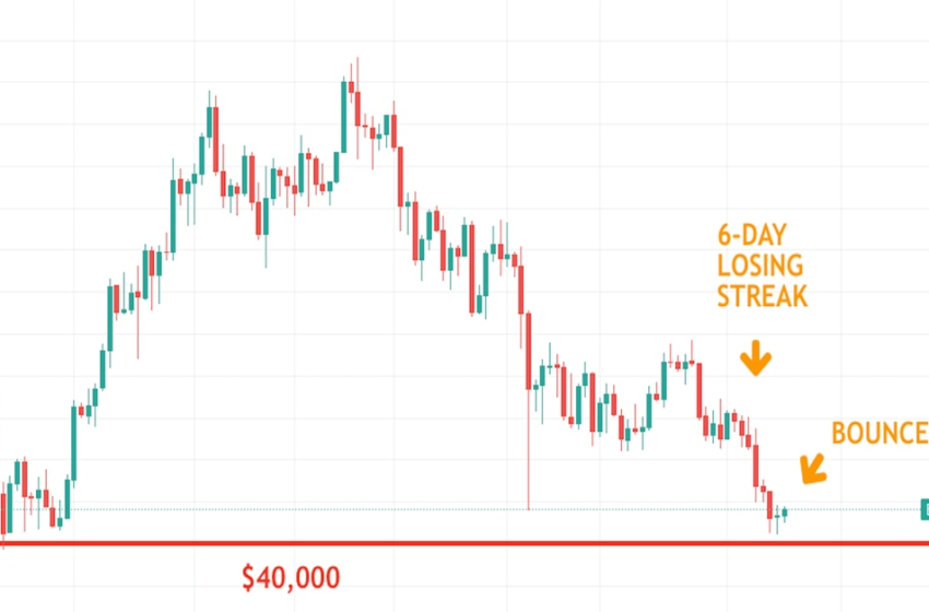  Bitcoin Snaps 6-Day Losing Streak, Holds Above $40K – CoinDesk