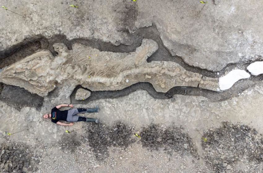  Giant 180 million-year-old sea dragon fossil found in UK reservoir – CNN