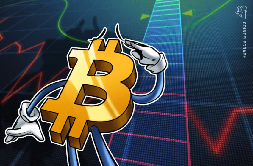  Bitcoin returns to $42K as bets start favoring ‘short squeeze’ higher for BTC – Cointelegraph