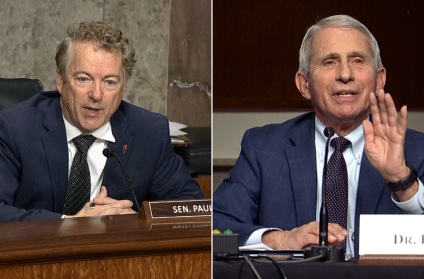  You personally attack me: Fauci fires back at Sen. Paul in heated exchange – CNN