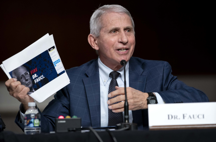  What a moron: Fauci argues with GOP senator over financial disclosures – POLITICO