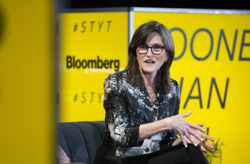  Cathie Wood’s ARK portfolio is headed for a shipwreck—and plunging tech stocks aren’t even the worst of it – Fortune