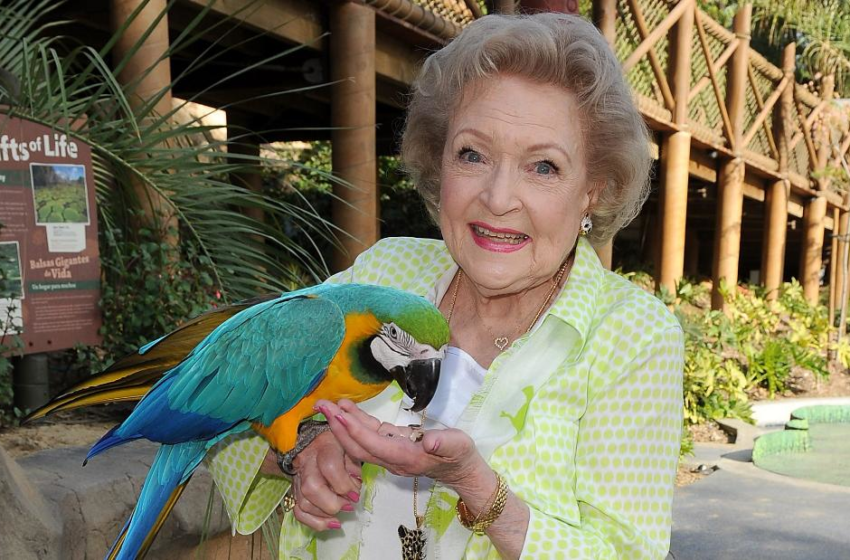  How to support animal lover Betty Whites favorite cause – CNN