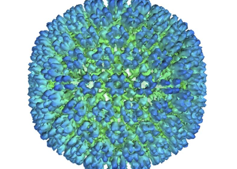  Stronger evidence linking Epstein-Barr virus to multiple sclerosis: Study – Associated Press