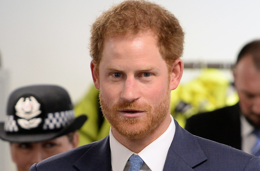  Piers Morgan Calls Prince Harry Entitled Hypocrite Over Security Lawsuit – Newsweek