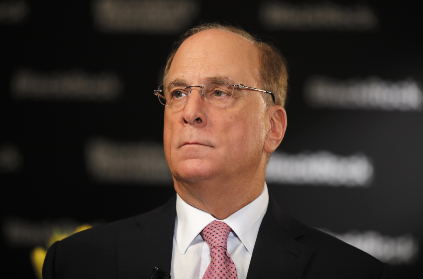  BlackRock CEO Larry Fink says stakeholder capitalism is not ‘woke’ – CNBC