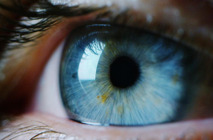  Your eyes hold the key to your true biological age, study finds – CNN