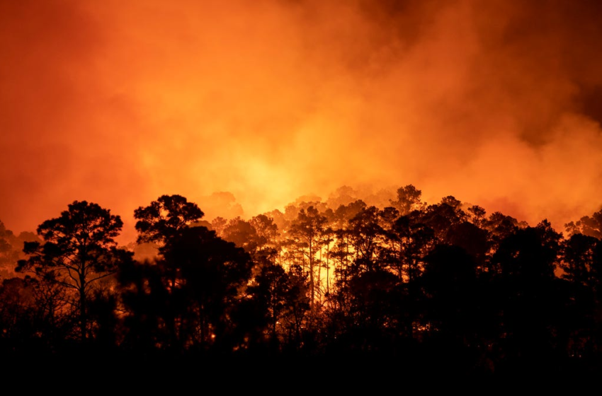  More than 250 families asked to evacuate from path of Rolling Pines Fire in Bastrop County – Austin American-Statesman