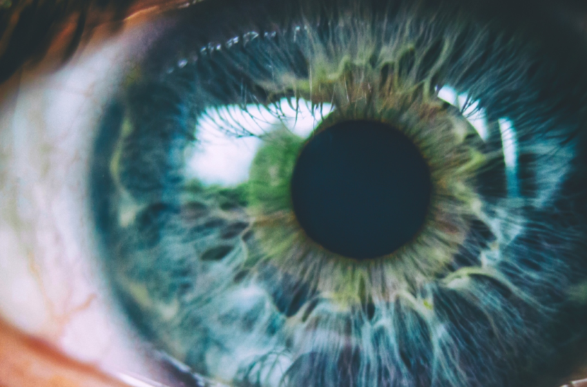  Simple eye test measuring the retina’s age reveals how long you’ll live – fox8.com