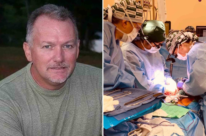  Pig-to-human kidney transplant a success in latest organ donor breakthrough – New York Post