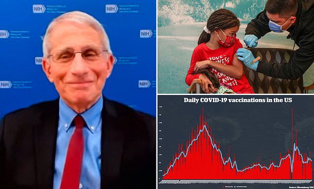  Fauci says Pfizer vaccine could soon receive authorization for kids under the age of 5 – Daily Mail