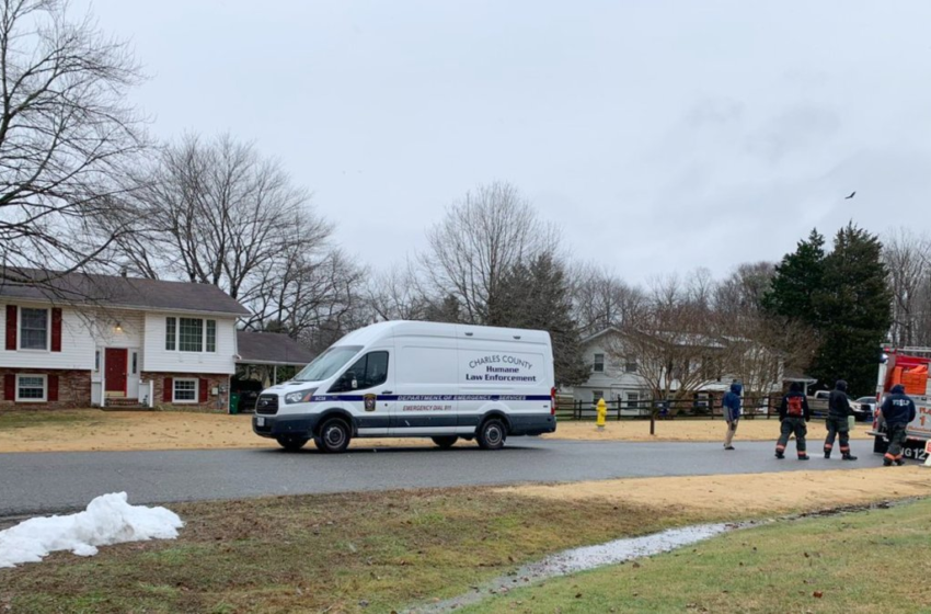  100+ Snakes Found in Maryland Home With Dead Man – NBC4 Washington