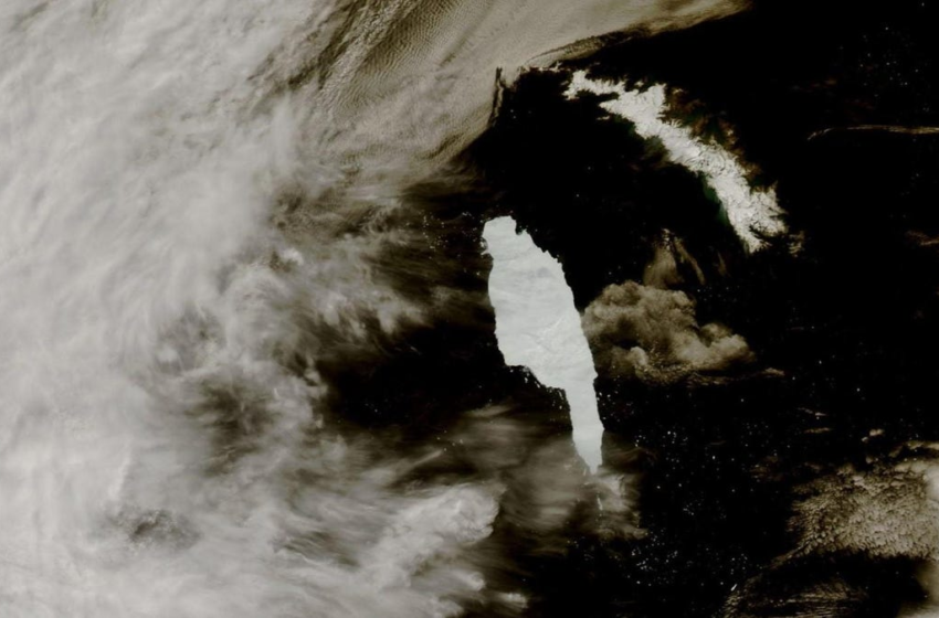  Colossal Iceberg Spilled 168 Billion Tons of Freshwater Near Wildlife-Rich Island – Gizmodo