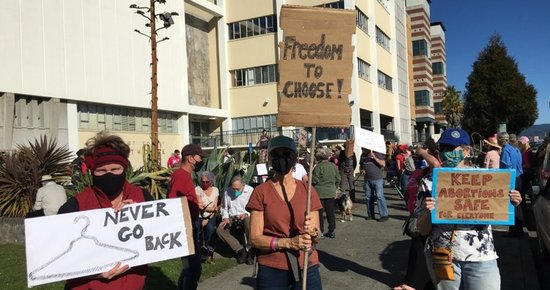  (PHOTOS) Crowd Gathers at Courthouse for Planned Parenthood Roe the Vote Rally – Lost Coast Outpost