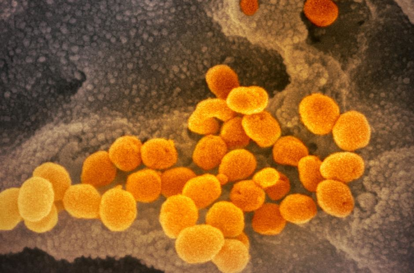  The latest on the coronavirus pandemic and the Omicron variant – cnn.com