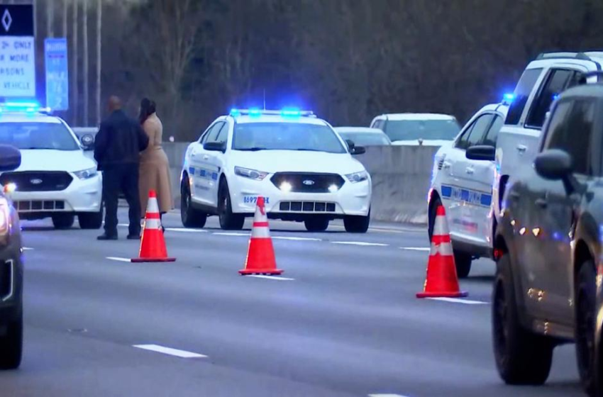  9 police officers fatally shoot pedestrian after standoff on interstate in Nashville, authorities say – CNN