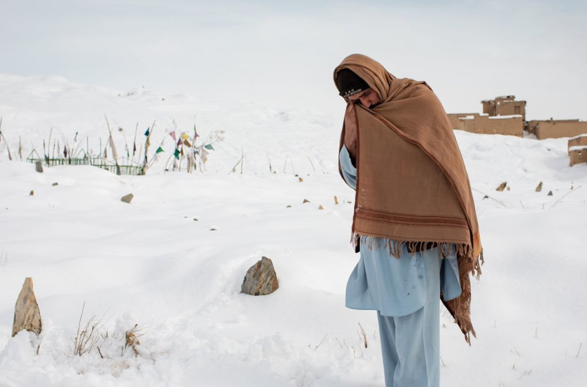  As Hunger Spreads in Afghanistan, Hospitals Fill With Premature, Dying Babies – The Wall Street Journal